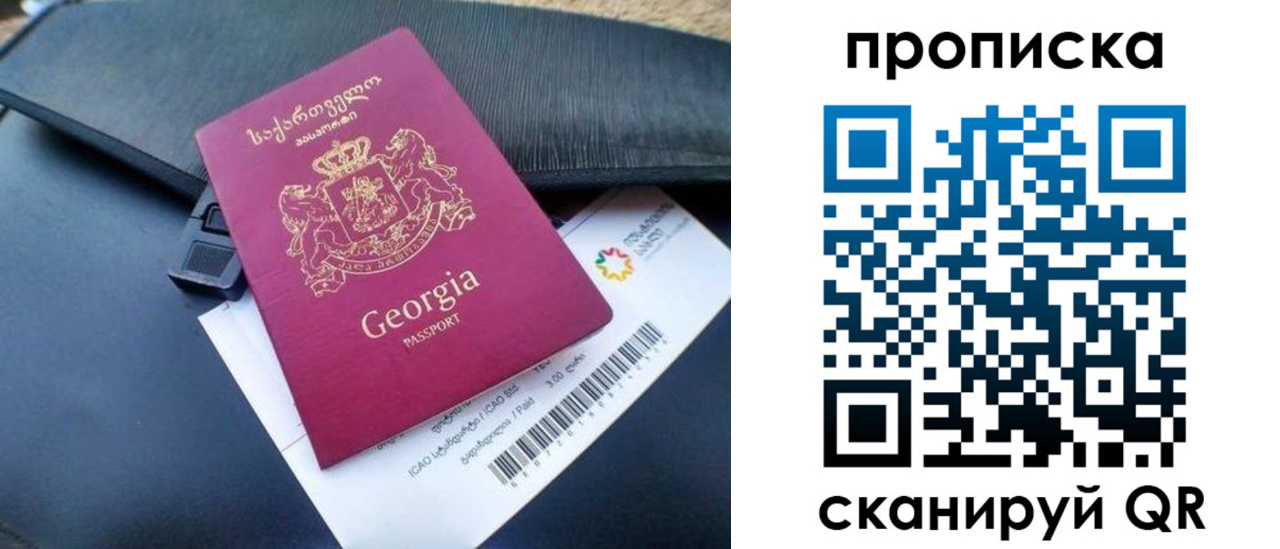 прописка поиск в Петропавловске-Камчатском